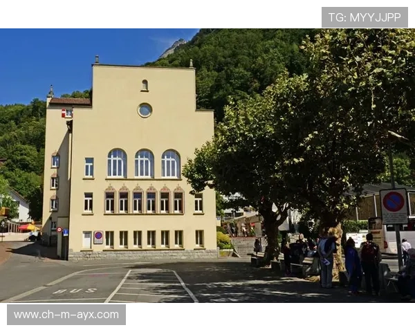 列支敦士登遇强劲对手，晋级泡影，列支敦士登值得去吗