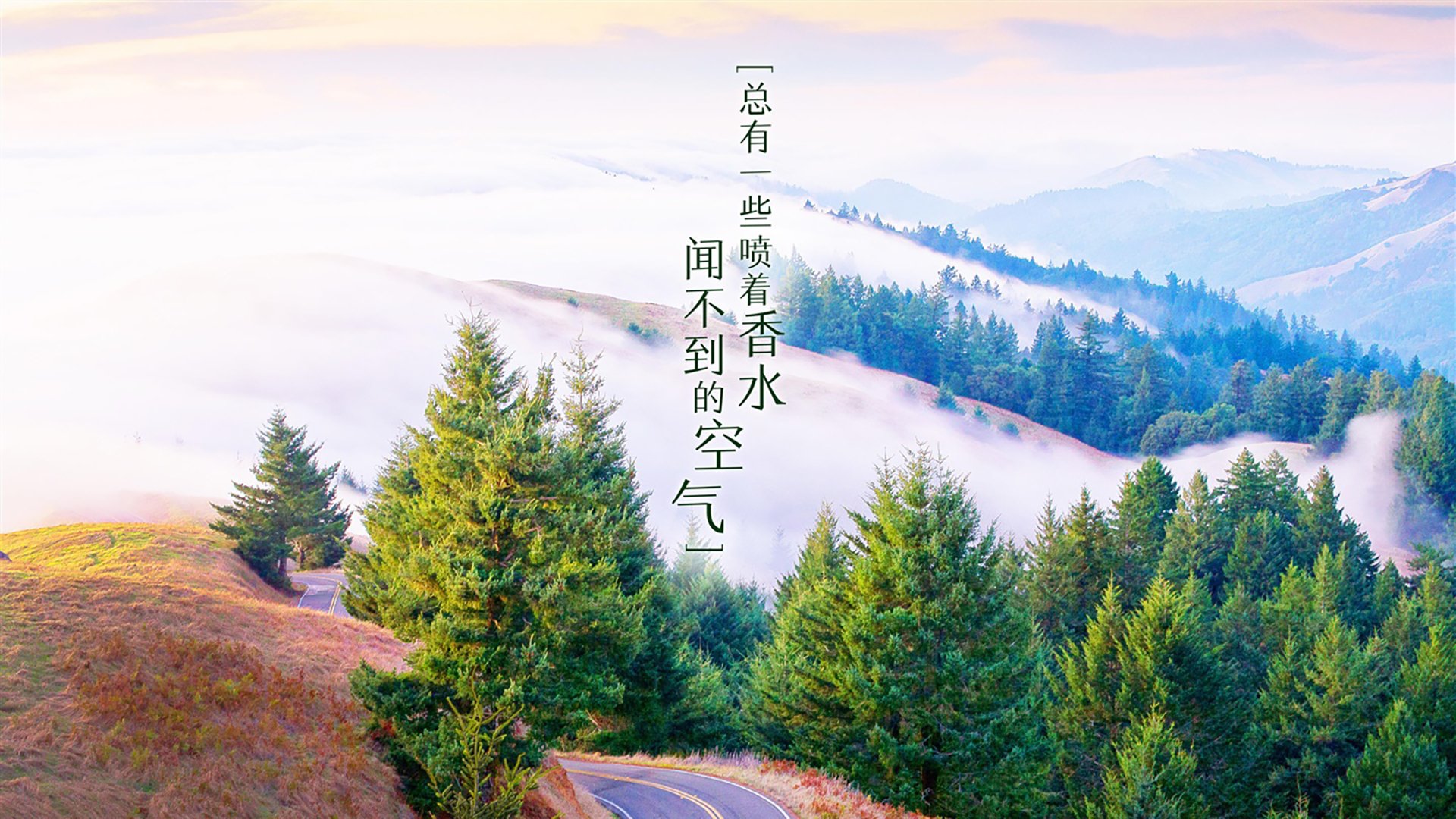 西甲VAR系统语义分析提高裁判判罚一致性研究，var裁判是什么意思