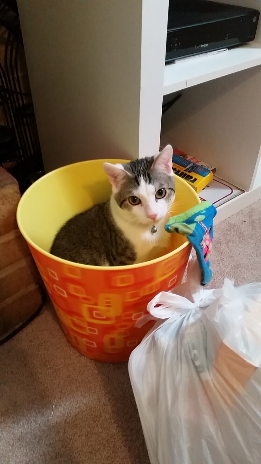 爱游戏官方-中国三人篮球女队调整阵型应对强敌，中国三人篮球女队调整阵型应对强敌视频