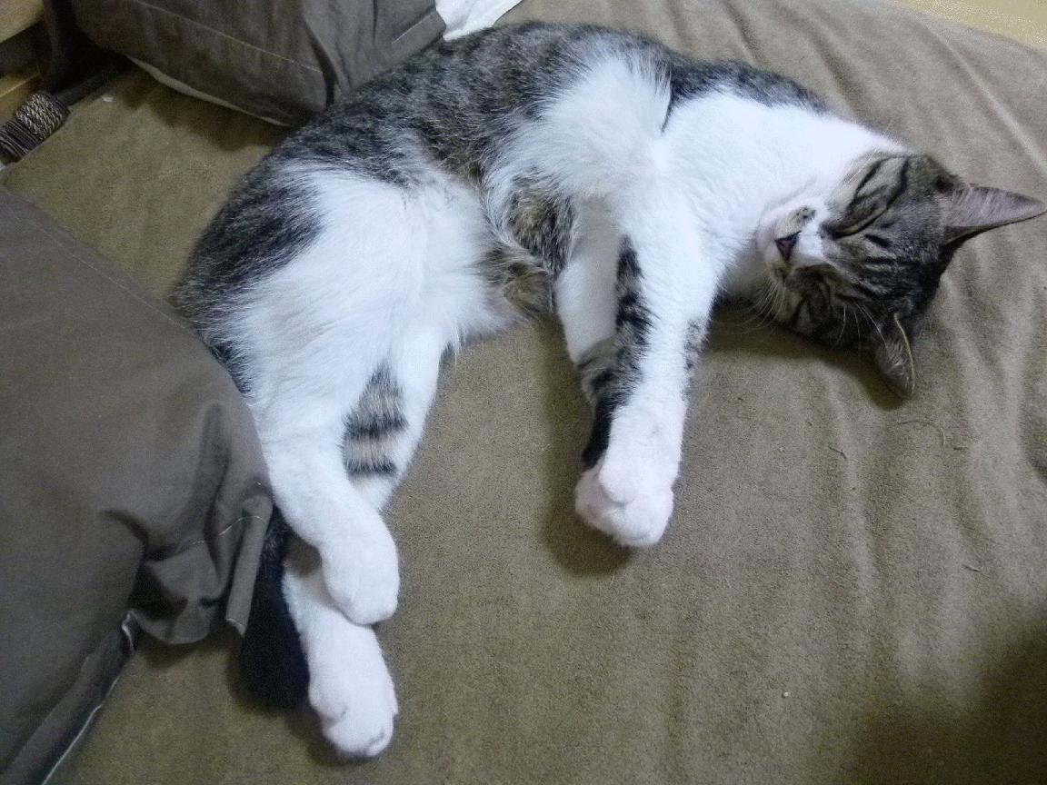 中超新引入战术是否受到五大联赛趋势影响,中超新规则什么玩意儿