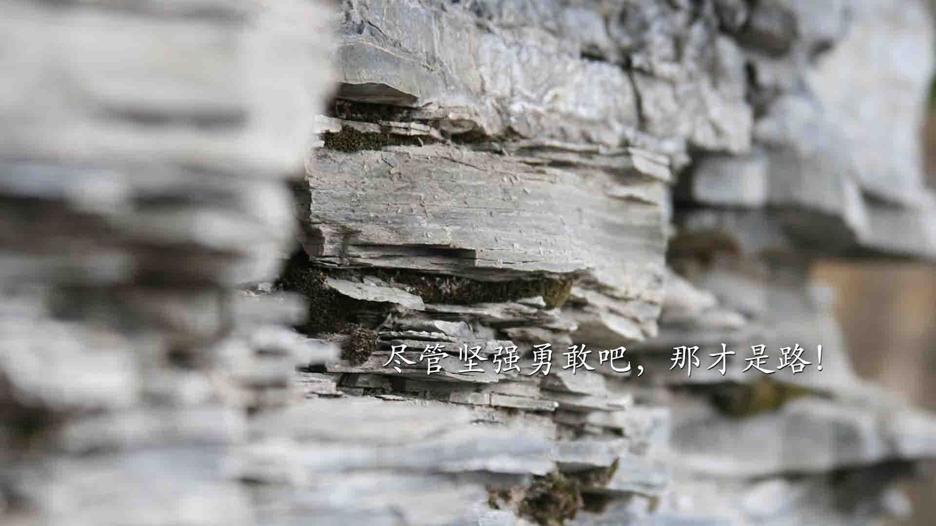 亚洲杯中国足球战平 球迷鼓励继续前行,亚洲杯足球中国队赛程表