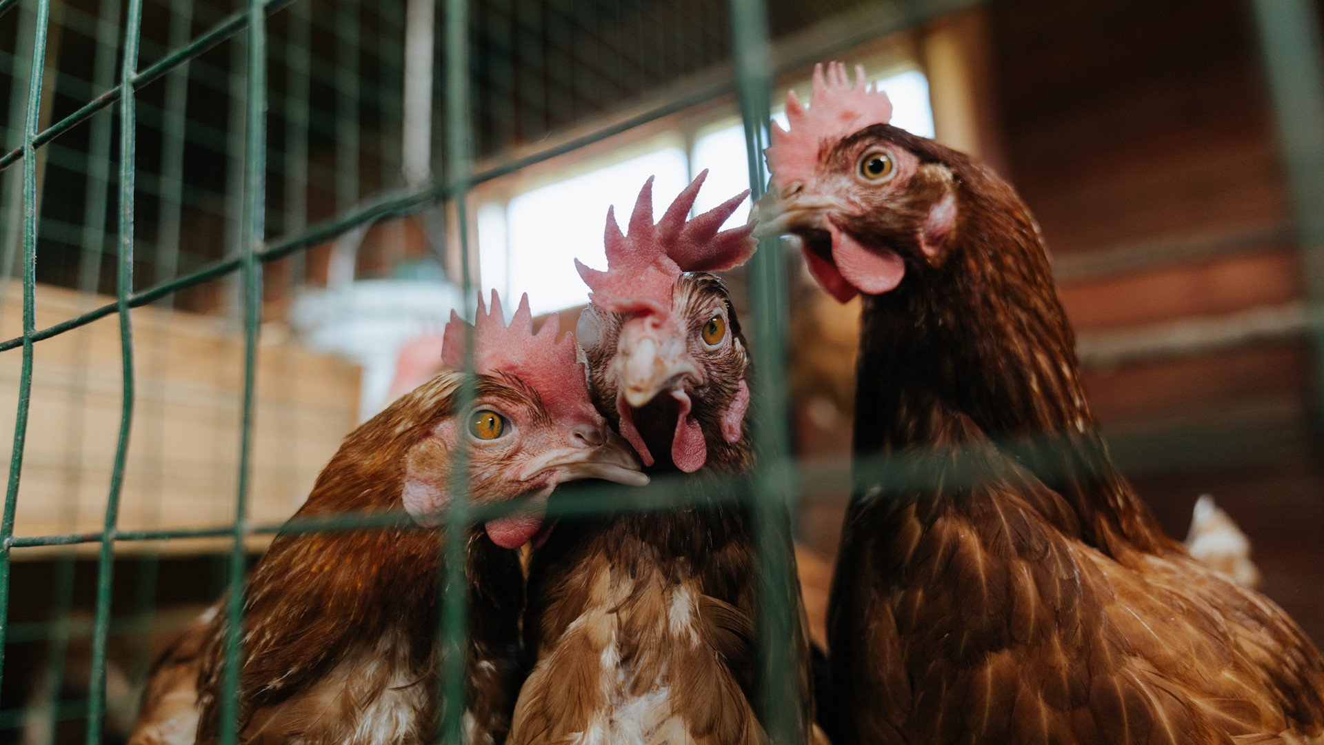 爱游戏娱乐-网坛大满贯选手因禁药被禁赛两年，网坛全满贯球员