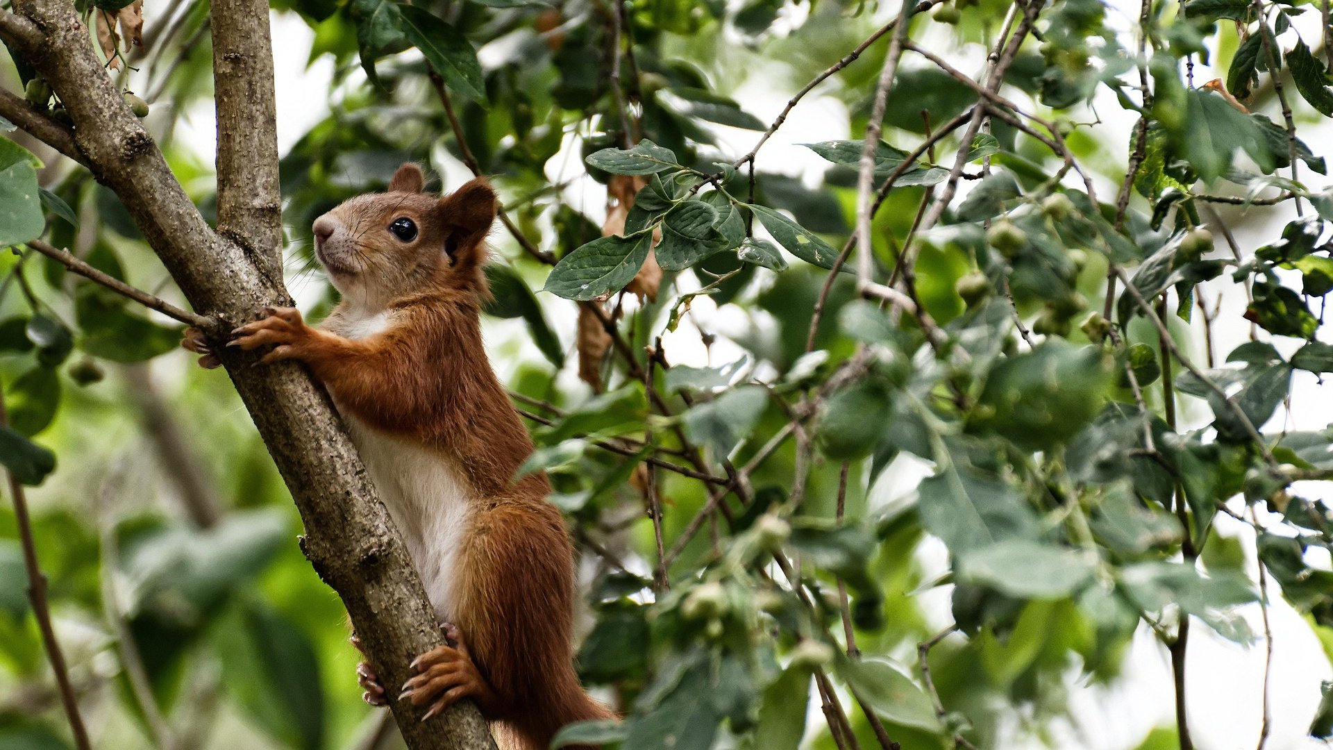 爱游戏官方-中国组合决赛精彩瞬间成为焦点，中国组合排名榜