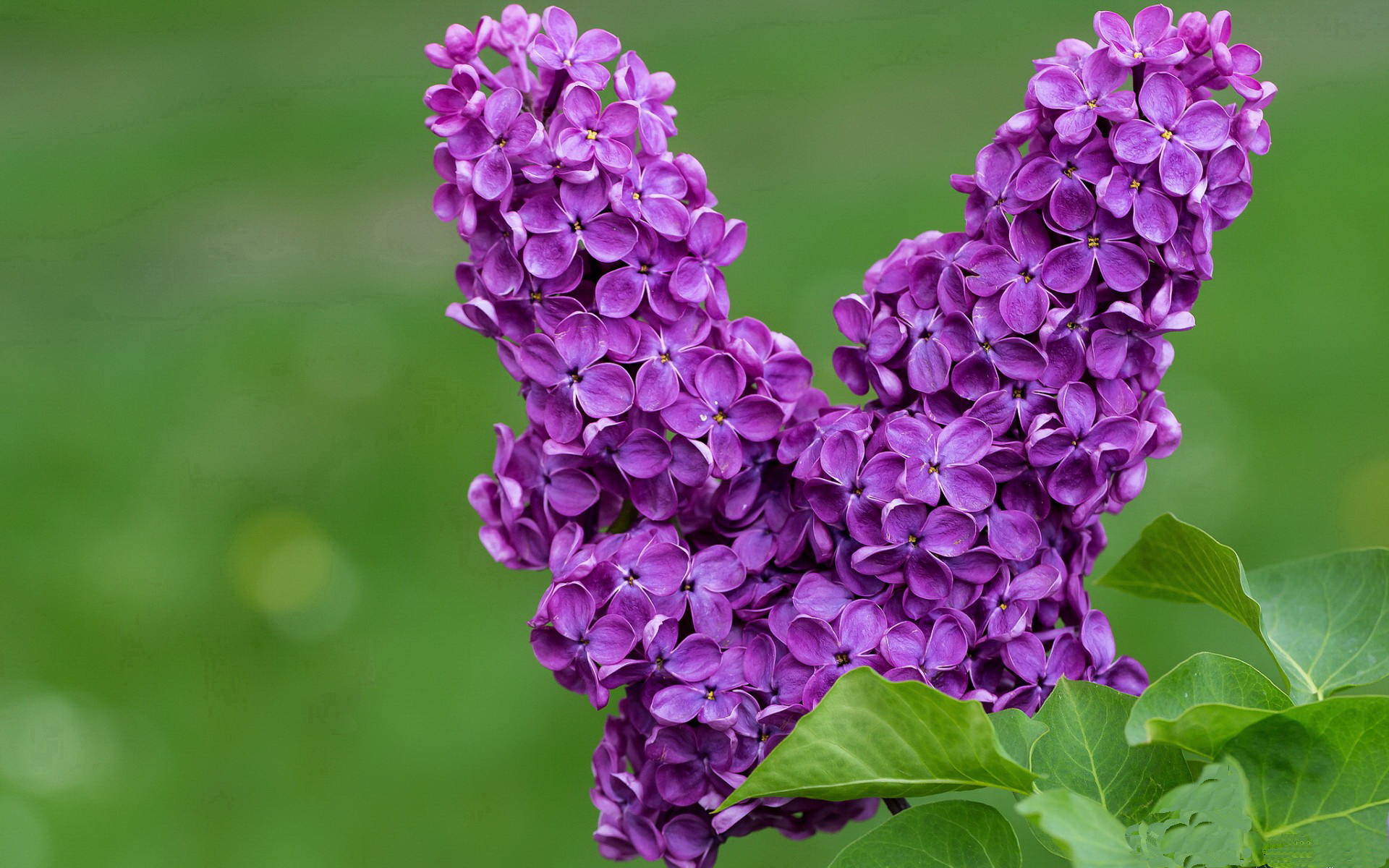 中国组合决赛精彩瞬间成为焦点,中国组合排名榜