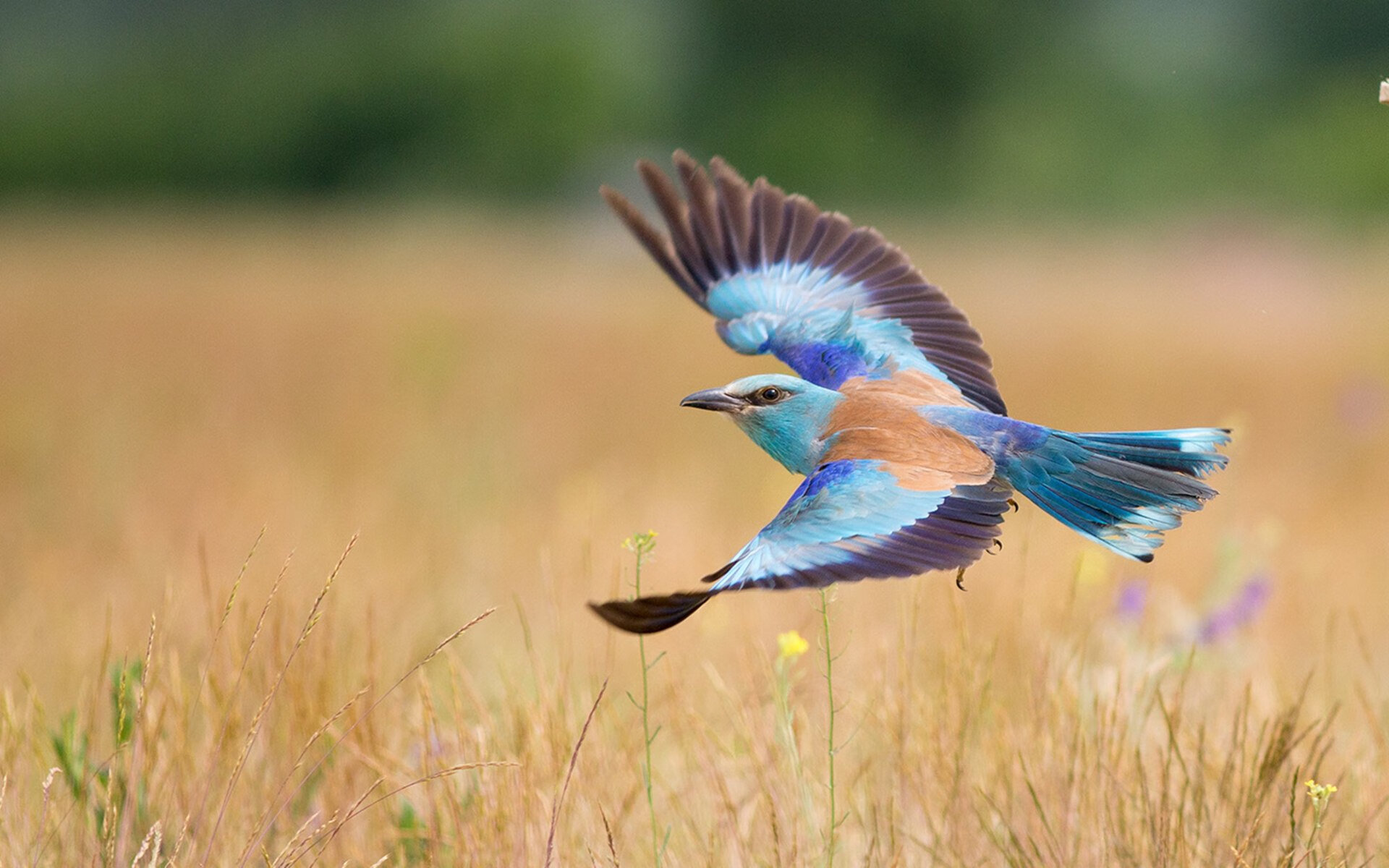 女子篮球青年队加强抢断训练提升防守效率,女子篮球队选拔测试项目