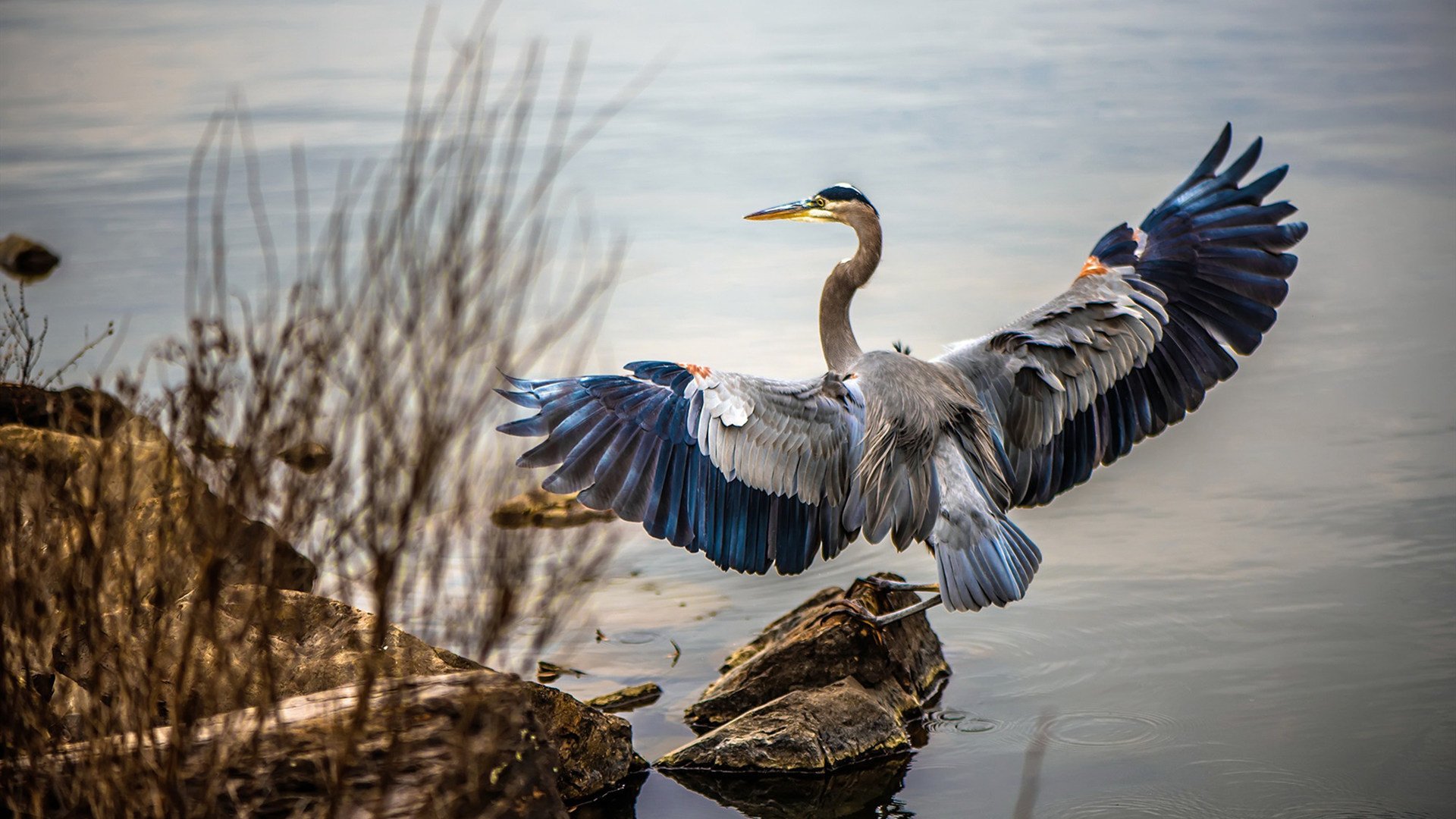 女篮青年队设置技能专项日提升攻防专注度,女篮球队训练计划
