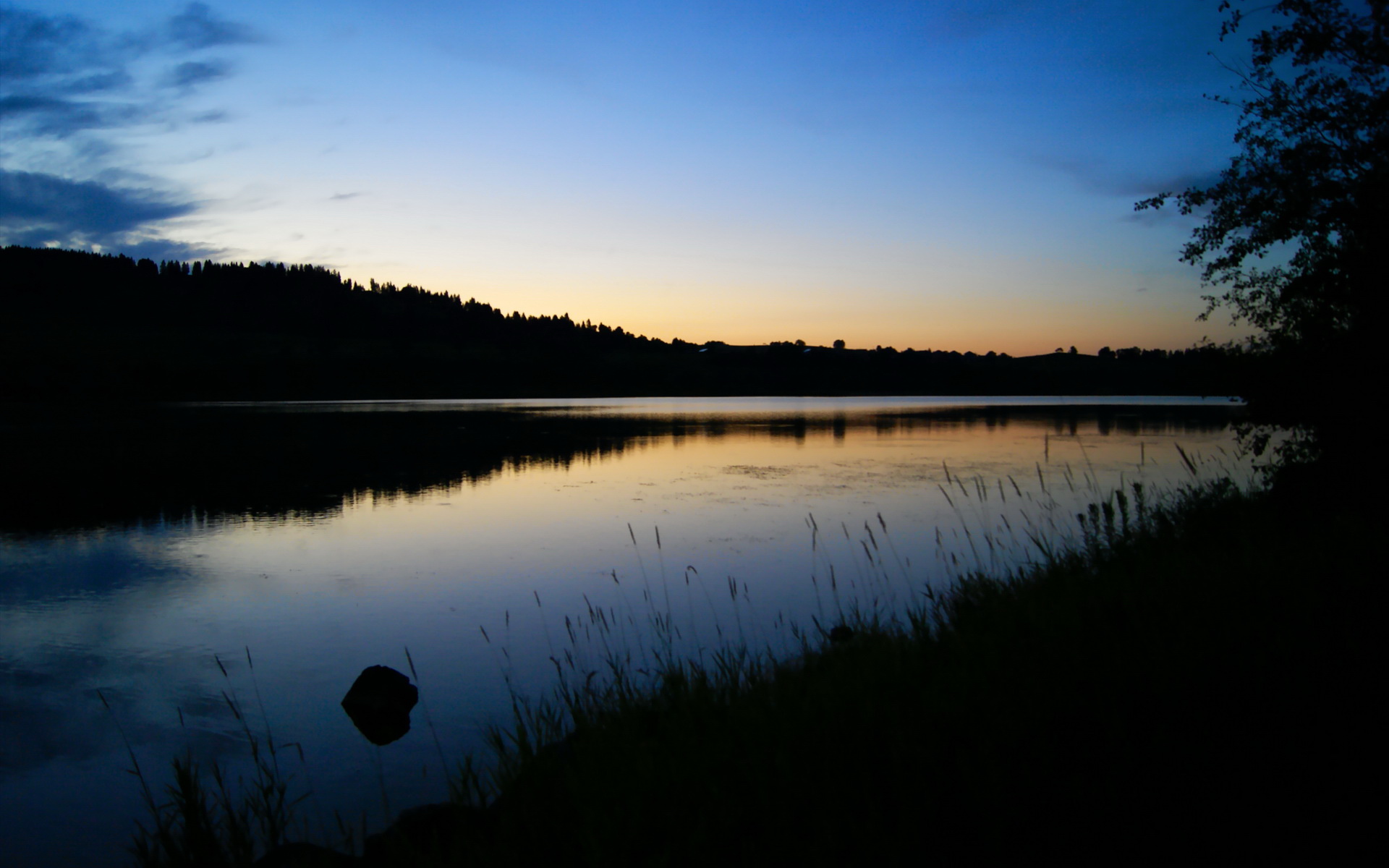 爱游戏体育-德约科维奇再夺冠军网球公开赛，网球选手德约科维奇个人资料