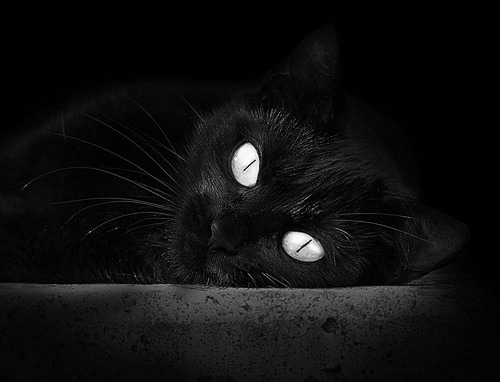 法甲年轻力量:未来的新希望!,法甲00后