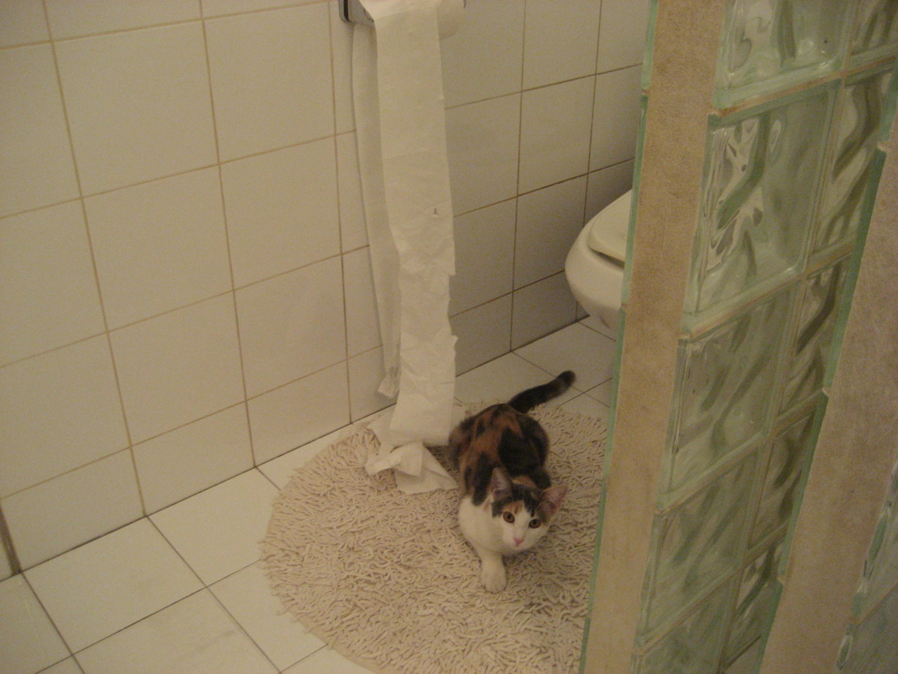 法甲豪门对决:技术流与力量流的碰撞