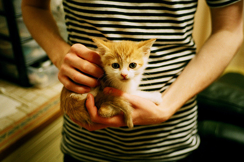 爱游戏app下载-混合泳个人赛比利时选手全面发挥，混合泳比赛泳姿顺序